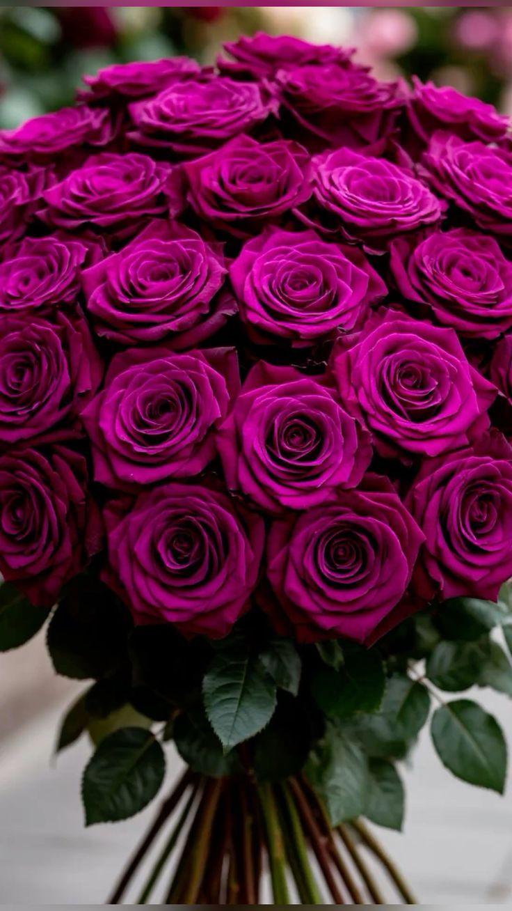 Corporate meeting room with precisely timed floral arrangements that stay elegant through business hours